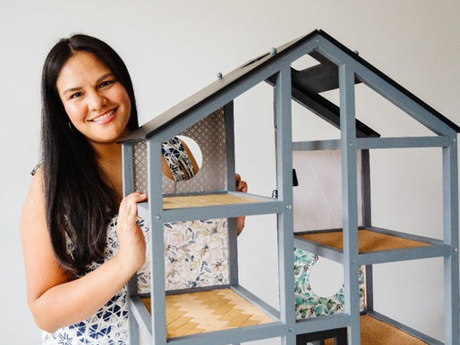 Dollhouse Makeover