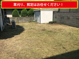 【和歌山市】芝生の草刈り、剪定はお任せください。