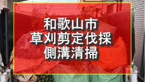 和歌山市 草刈剪定伐採 側溝清掃