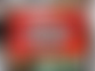 和歌山市 草刈剪定伐採 側溝清掃