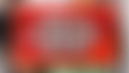 和歌山市 草刈剪定伐採 側溝清掃