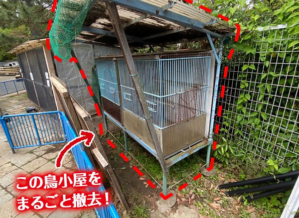 和歌山城公園動物園 鳥小屋撤去.jpg