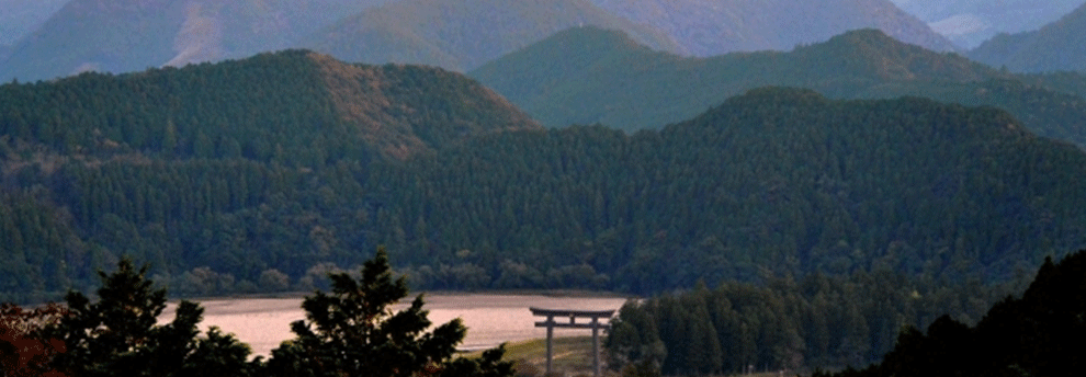 田辺市便利屋