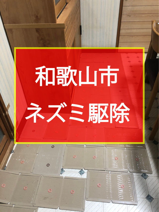 和歌山市 ネズミ駆除