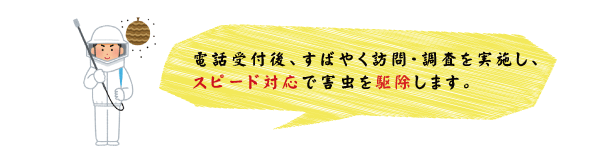 スピード対応で素早く害虫を駆除します