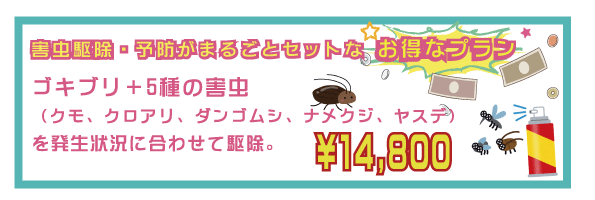 害虫駆除セット!ゴキブリ、クモ、クロアリ、ダンゴムシ、ナメクジ、ヤスデ