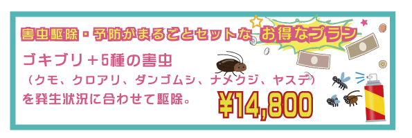 害虫駆除セット！ゴキブリ、クモ、クロアリ、ダンゴムシ、ナメクジ、ヤスデ