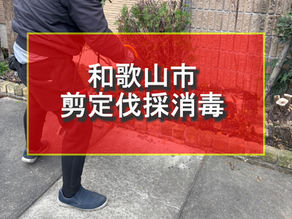 和歌山市　剪定伐採消毒