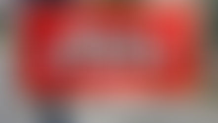 和歌山市　剪定伐採消毒