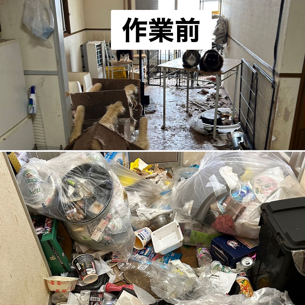 作業前写真1