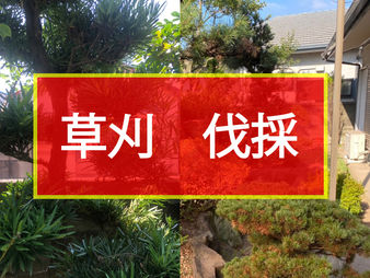 草刈 伐採