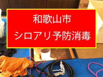 和歌山市、シロアリ予防消毒