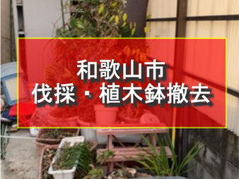 和歌山市 伐採・植木鉢撤去
