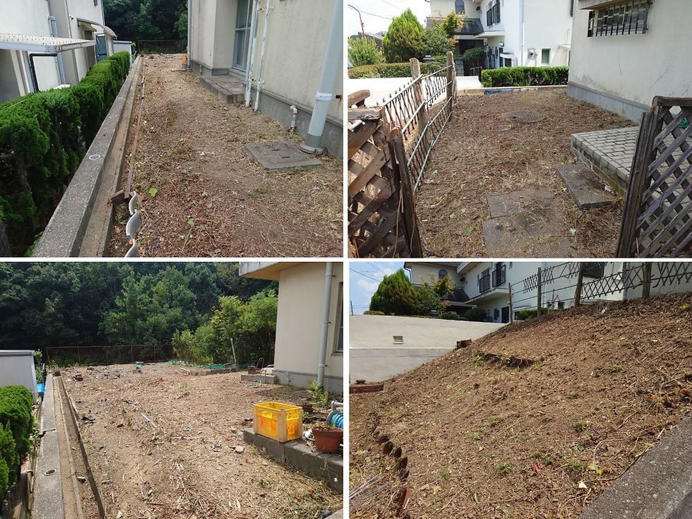 大阪府　草刈　伐採