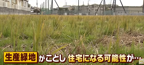 和歌山の畑が住宅に