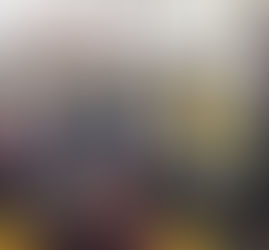 PRA-MUSYAWARAH NASIONAL & ALSA LEADERSHIP TRAINING (PALT) XXIX“Mun Teu Ngoprék Moal Nyapék, Mun T