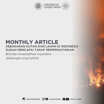 Kebakaran Hutan dan Lahan di Indonesia Sudah Mencapai Taraf Memprihatinkan