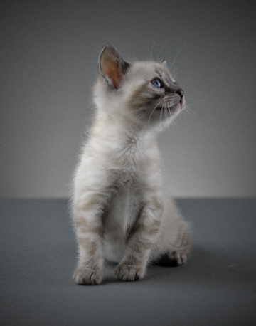 Captura de Pantalla 2021-10-10 a la(s) 20.20.54.png