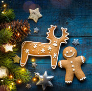 Family Christmas Celebration