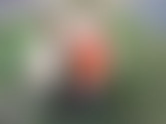 Inclusive Halloween Ideas for Food Allergy Kids