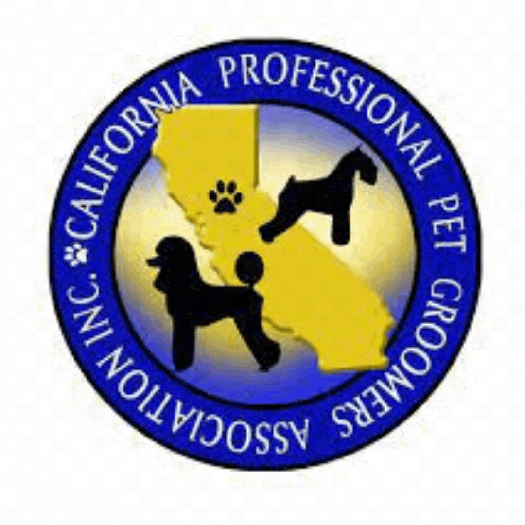 Credentials GIF For Website.gif