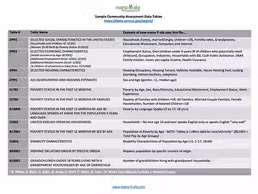 Census Data Tables.avif