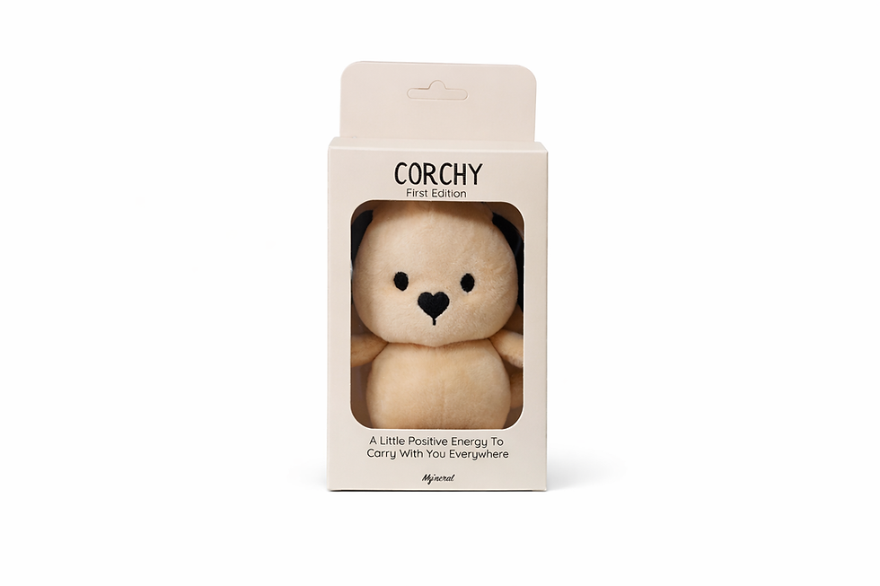 Thumbnail: Little Reminders Gift Set - Corchy + 1 Reminder Wristband