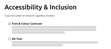 Website Health Check Accessibility.jpg