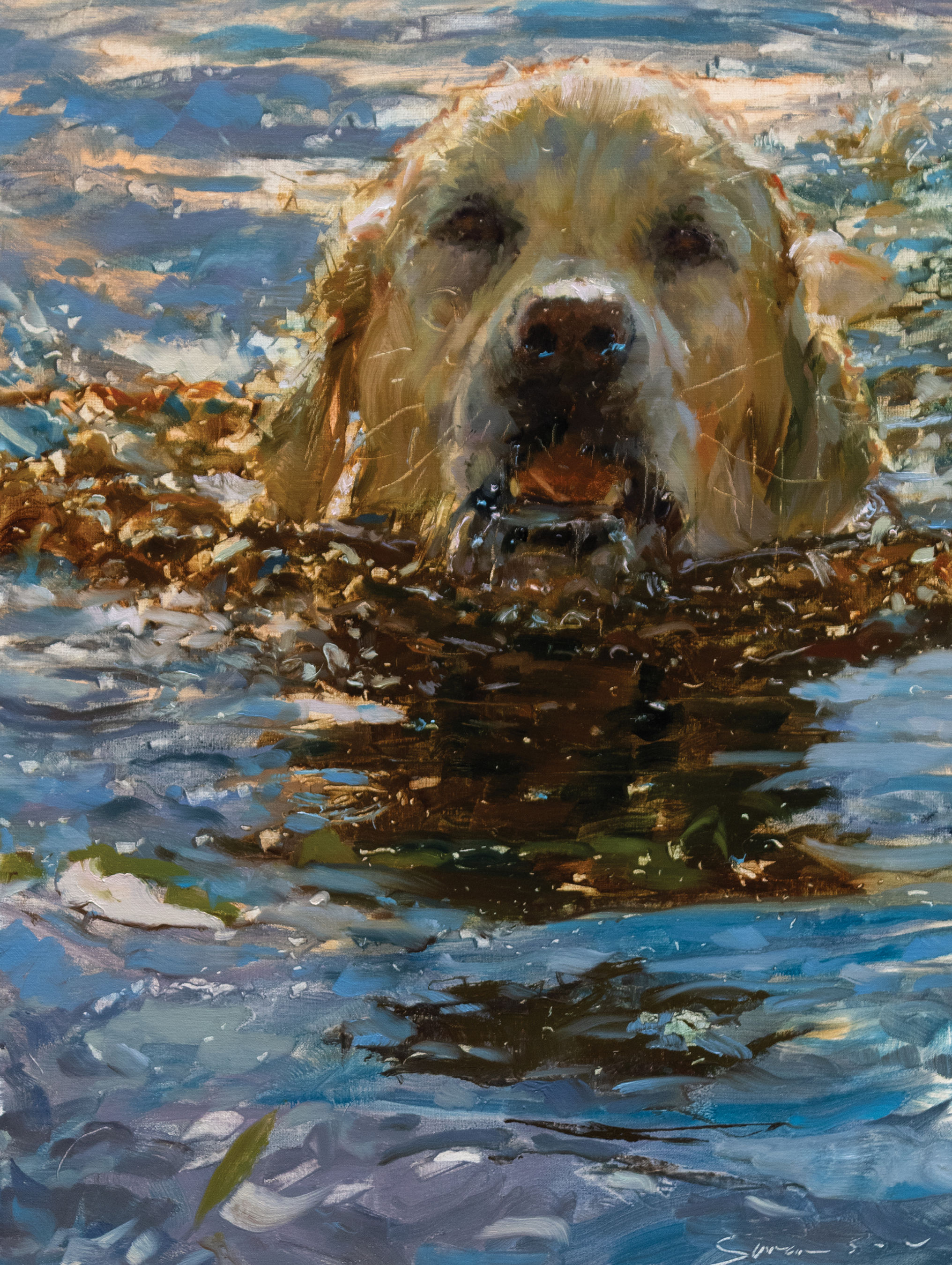A Quick Dip