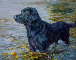 The Rookie 24x30 oil commission