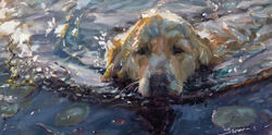 Water Sunshine Golden 10x20 oil
