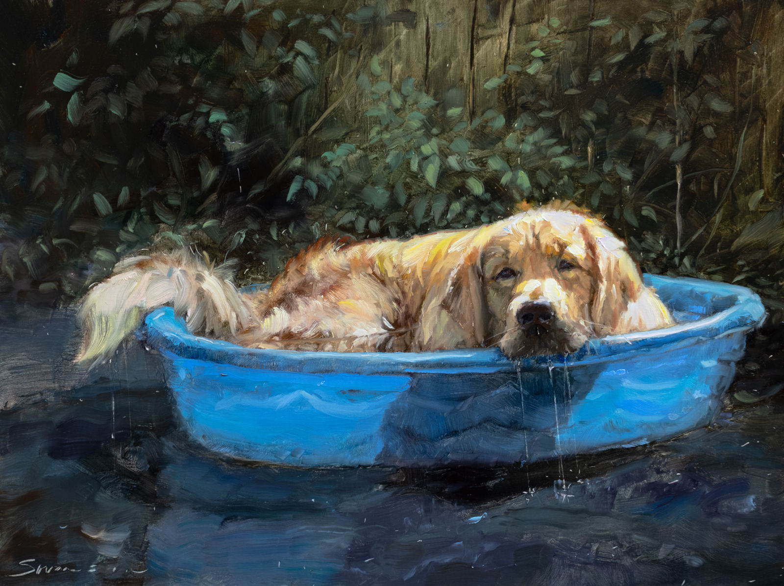 Pup in Blue Kiddie Pool