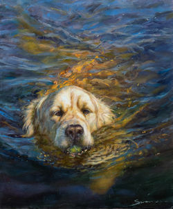Blinded by the light 24x20 oil $4500 The Cole Gallery