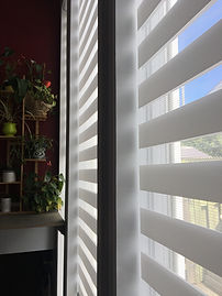 20210616_182340849_iOS.jpg