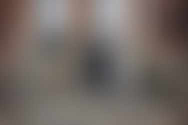 GATİNHOS DE İSTAMBUL em 10 fotos