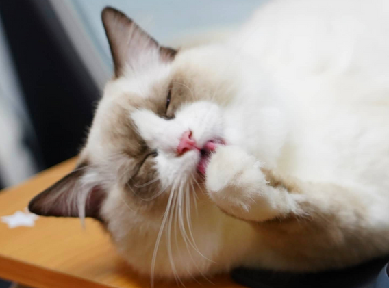 截圖 2022-05-07 下午9.48.20.png