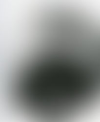 A Divina Providência conduz tudo nos detalhes