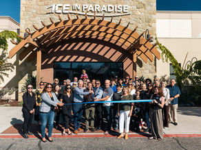 Another Day in Paradise: Celebrating 10 Years of Ice in Paradise