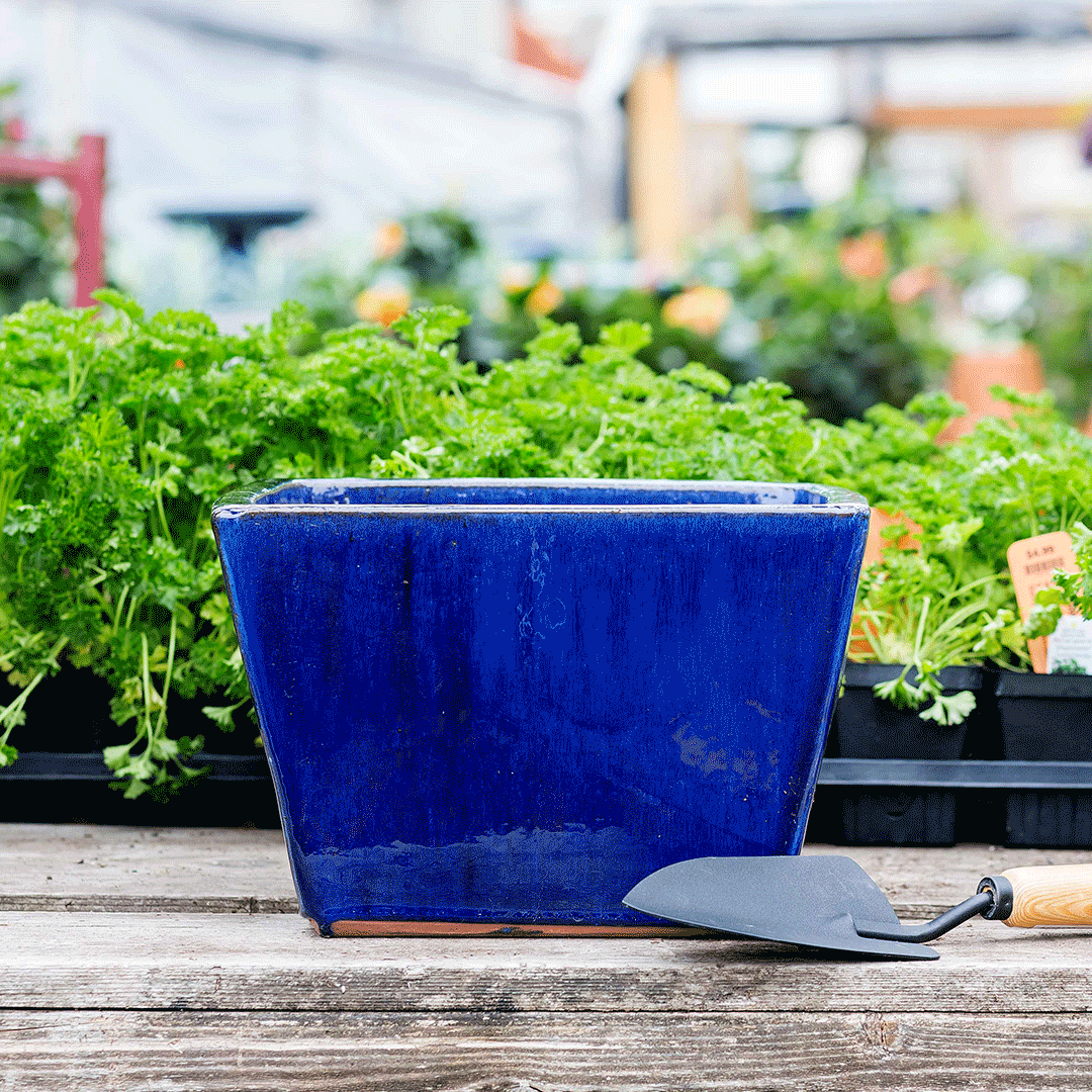 BRC-Reuse-PailPlanter.gif