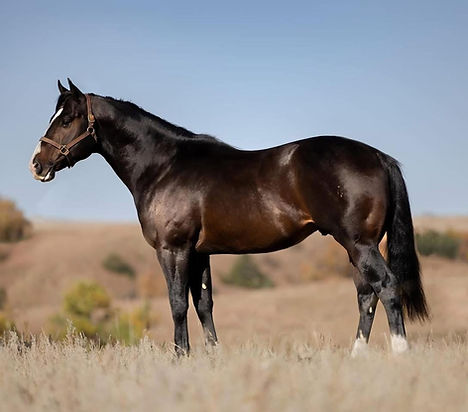 PC Lonin Cash 1.jpeg