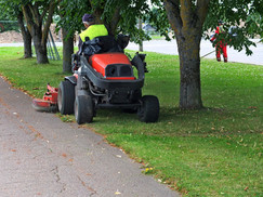ZG011 - Grass Cutting