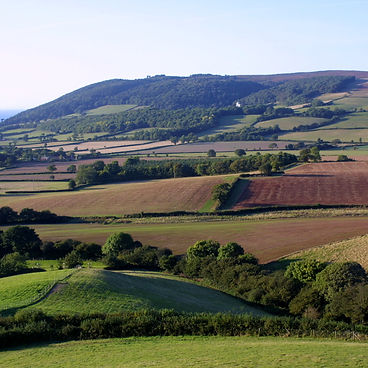 Exmoor Farmland.jpg