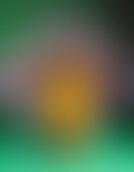 Il contributo di Suqqo alla sostenibilità ambientale