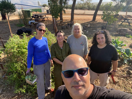 כתבה בעיתון הצפוני על הגינה הקהילתית שהקמתי בקיבוץ בצפון, על המלחמה, גינון אורגני וכל השאר