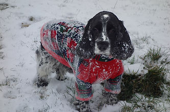 Fleece jumper ideal for the snow