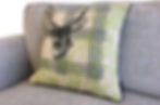 CUSHIONS