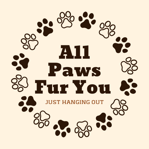 All Paws Fur You