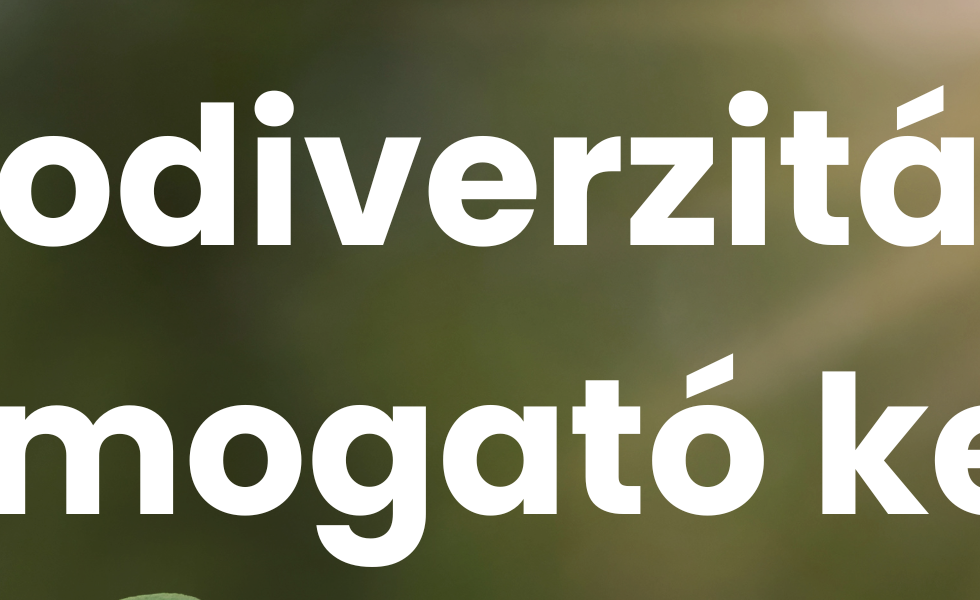 Kert revolúció (2).png
