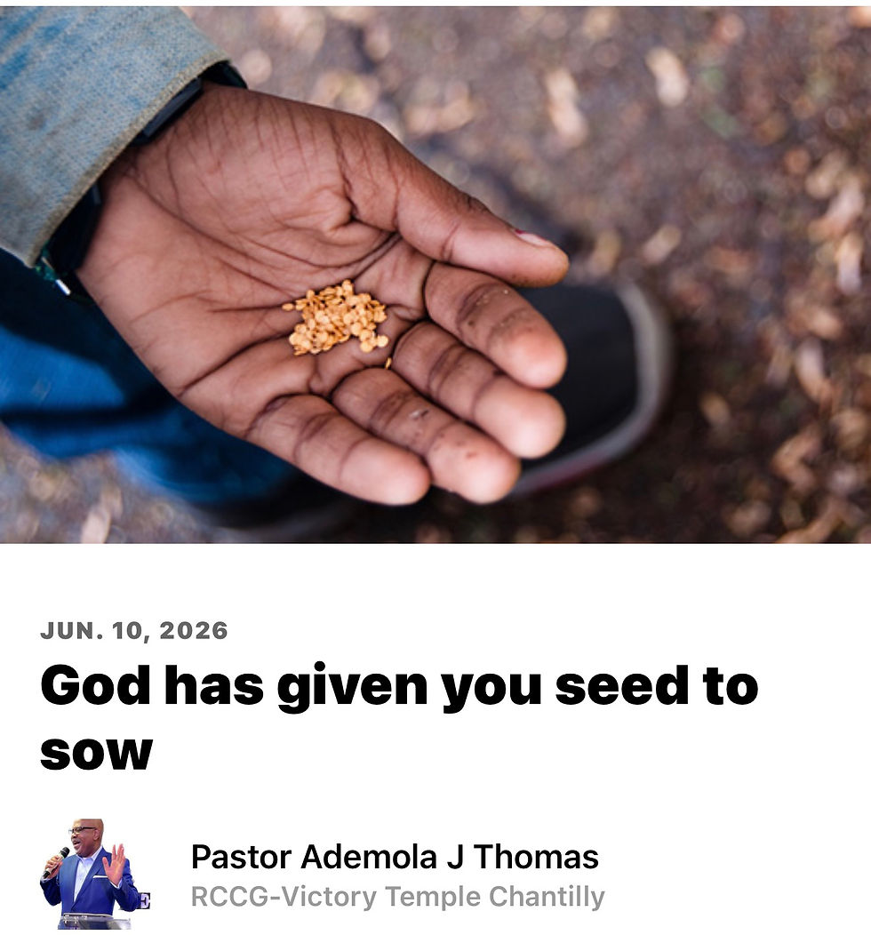 God has given you a seed to SOW!