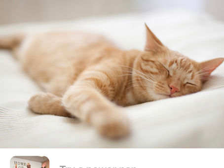 Try a Power Nap